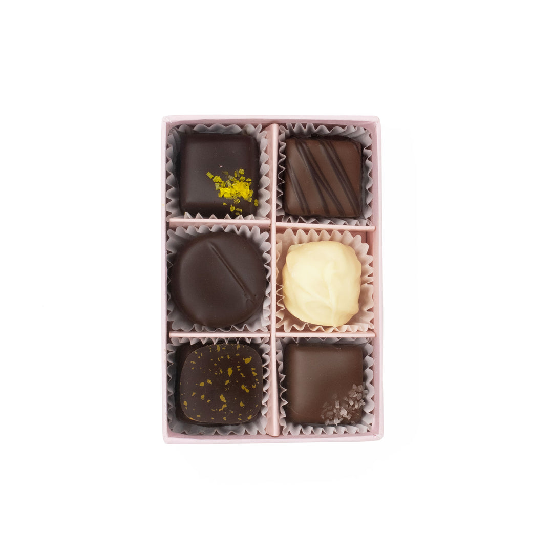 Mini Cat that Got the Cream Chocolate Collection - Limited Edition 6pc